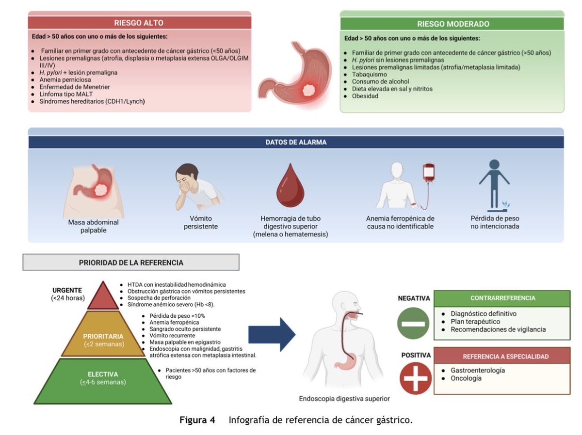 AnaDCano's tweet photo. 📢 Nuevo posicionamiento de la AMG sobre detección oportuna de cáncer gastrointestinal (esófago, estómago, colon) en atención primaria.

Enunciados + 3 algoritmos clínicos para reconocer datos de alarma y referir a tiempo.

📚 https://t.co/rAO4tZI2PG https://t.co/sEyYWvwjy3