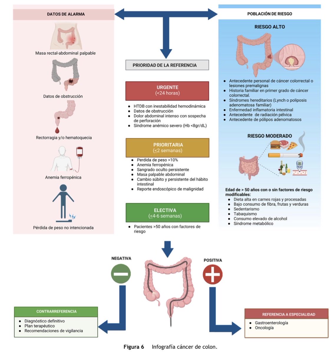 AnaDCano's tweet photo. 📢 Nuevo posicionamiento de la AMG sobre detección oportuna de cáncer gastrointestinal (esófago, estómago, colon) en atención primaria.

Enunciados + 3 algoritmos clínicos para reconocer datos de alarma y referir a tiempo.

📚 https://t.co/rAO4tZI2PG https://t.co/sEyYWvwjy3