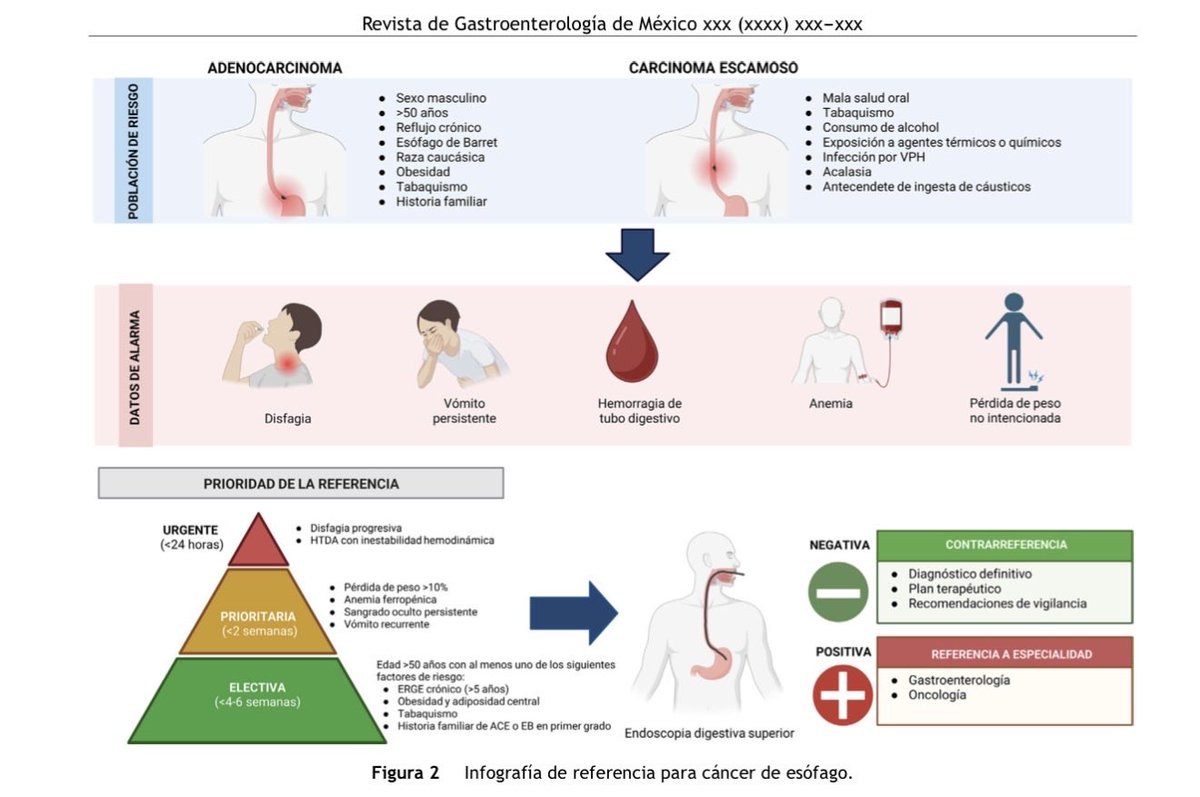 AnaDCano's tweet photo. 📢 Nuevo posicionamiento de la AMG sobre detección oportuna de cáncer gastrointestinal (esófago, estómago, colon) en atención primaria.

Enunciados + 3 algoritmos clínicos para reconocer datos de alarma y referir a tiempo.

📚 https://t.co/rAO4tZI2PG https://t.co/sEyYWvwjy3
