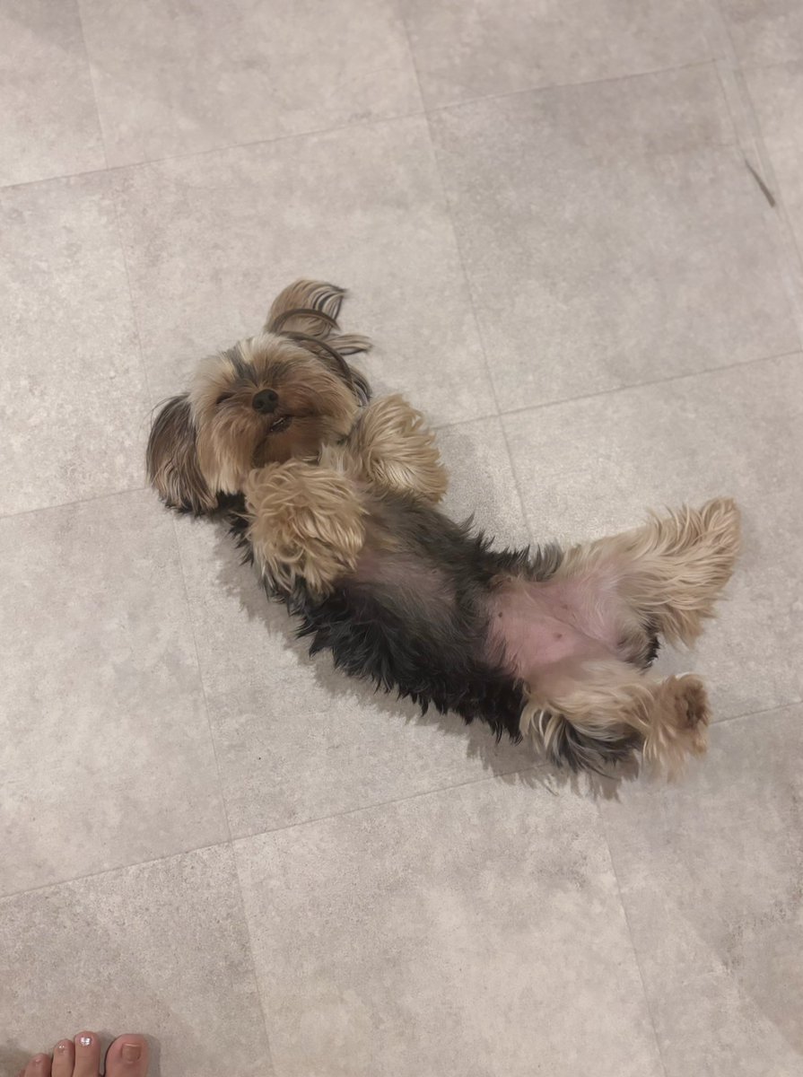 mizuio's tweet photo. 実家🥰 https://t.co/B7xrbf1CMe