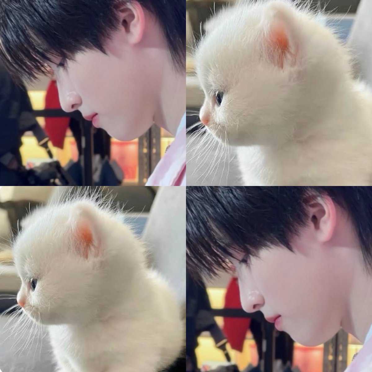 phuisgatekeep's tweet photo. ชอบทำหน้าแมวๆ ❎
เป็นแมว ✅
🤏😆💖✨ #AAashirakorn https://t.co/e2NaeNdUvU