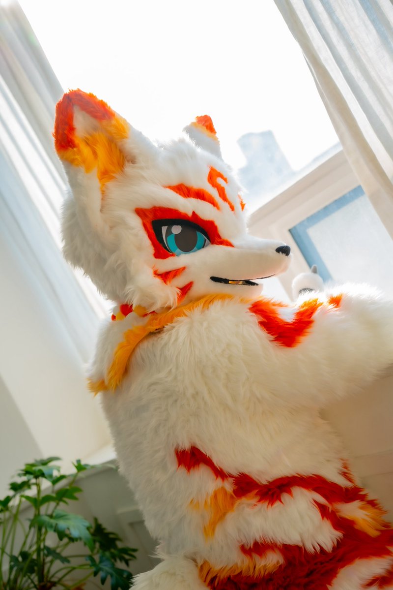 LEF_fursuit's tweet photo. 산책가고 싶어요…!

#FursuitFriday #레프는여우가아니야 https://t.co/bY14UUBDYY