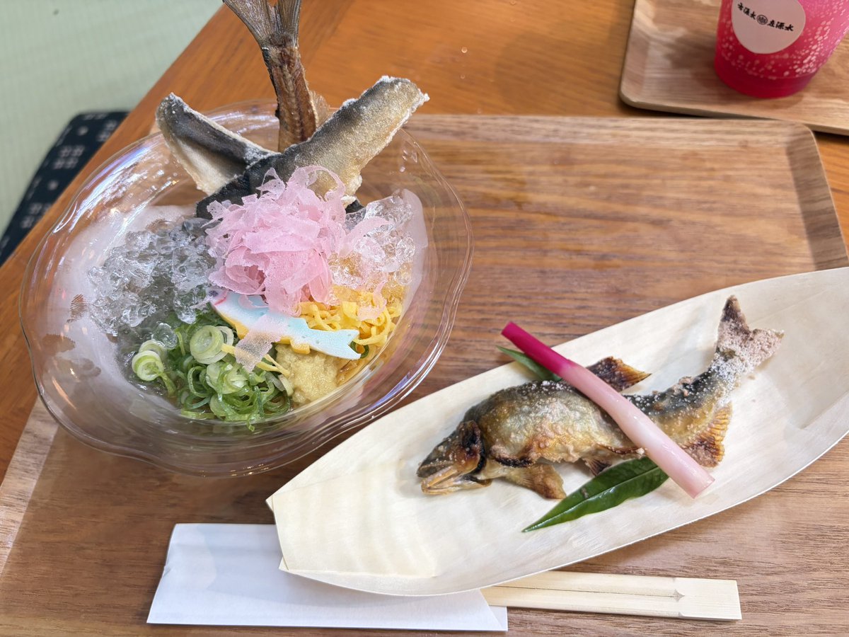 u0w_h's tweet photo. 夏満喫一人旅だよーー🐟 https://t.co/OIpyyVsVEz