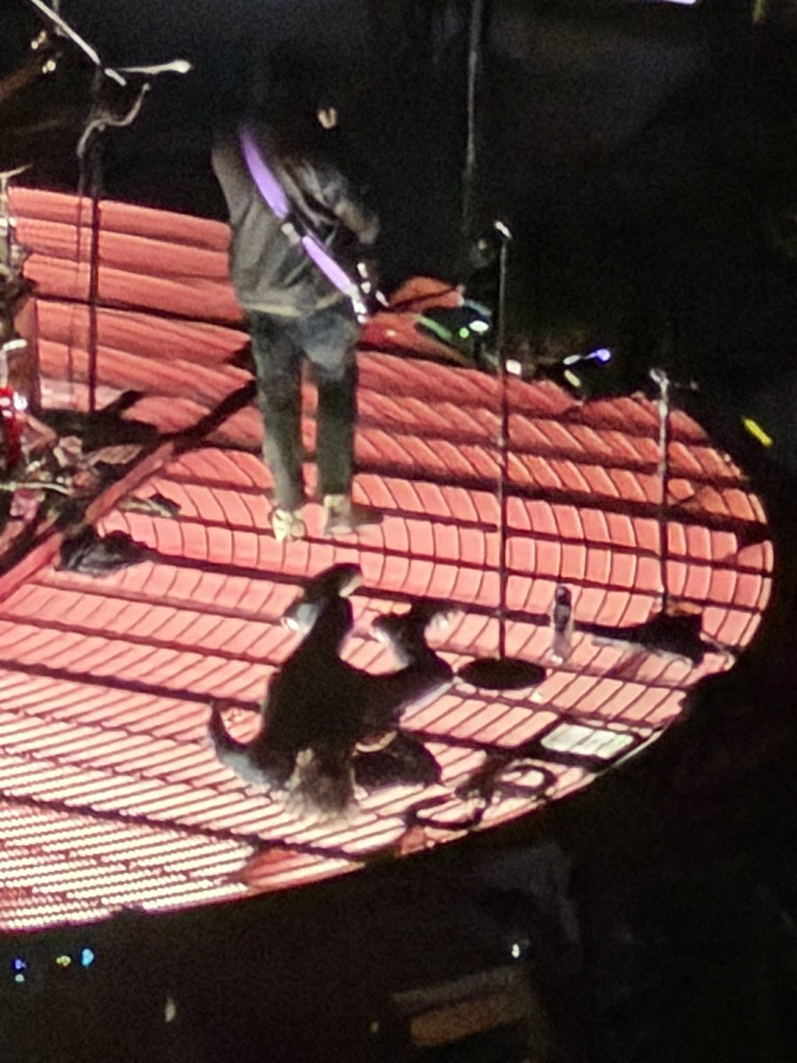 bandomyaois's tweet photo. Picture of Gerard you’ve never seen cus i took it 30 minutes ago https://t.co/HuLSr86GUT