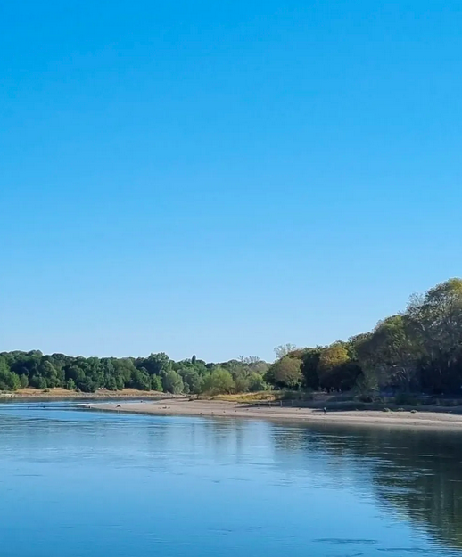 msabine900's tweet photo. #RiverReport  #Mannheim #Rheinterrassen Low water levels on the #Rhine: normally, it's quite busy on the river; yesterday, only Dutch vessel TIM ( travelling downstream, empty) and a police boat. https://t.co/jrP4Xi5J4j