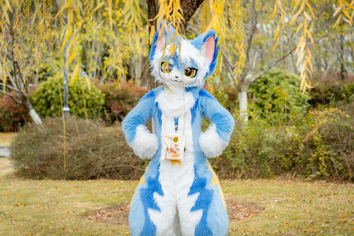 GDandKeliCat's tweet photo. 陈年老片放出
猫：小威
2025 夏阳湖 https://t.co/m0x6OEEqJ3
