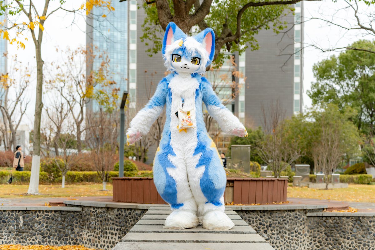 GDandKeliCat's tweet photo. 陈年老片放出
猫：小威
2025 夏阳湖 https://t.co/m0x6OEEqJ3