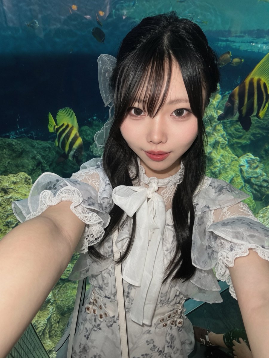 Amagu_sub's tweet photo. ドカ自我水族館！！！ https://t.co/UmlVgo1Pp9