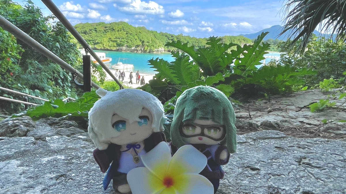 fai_hotaru's tweet photo. 海〜！！
なフリピノちゃんショット📷💥①

#フリピノぬい https://t.co/4s89iBEvro