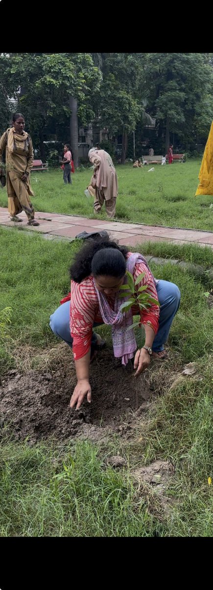 smita1690's tweet photo. Why just celebrate with cakes when we can celebrate with trees? 🌱 Let's make it a lifelong ritual to mark every milestone and special occasion with a tree plantation. Happy Mega Plantation Drive to all! #PlantATree #TreePlantationDrive #MegaTreePlantation #GoGreen https://t.co/A69daNg8Nd