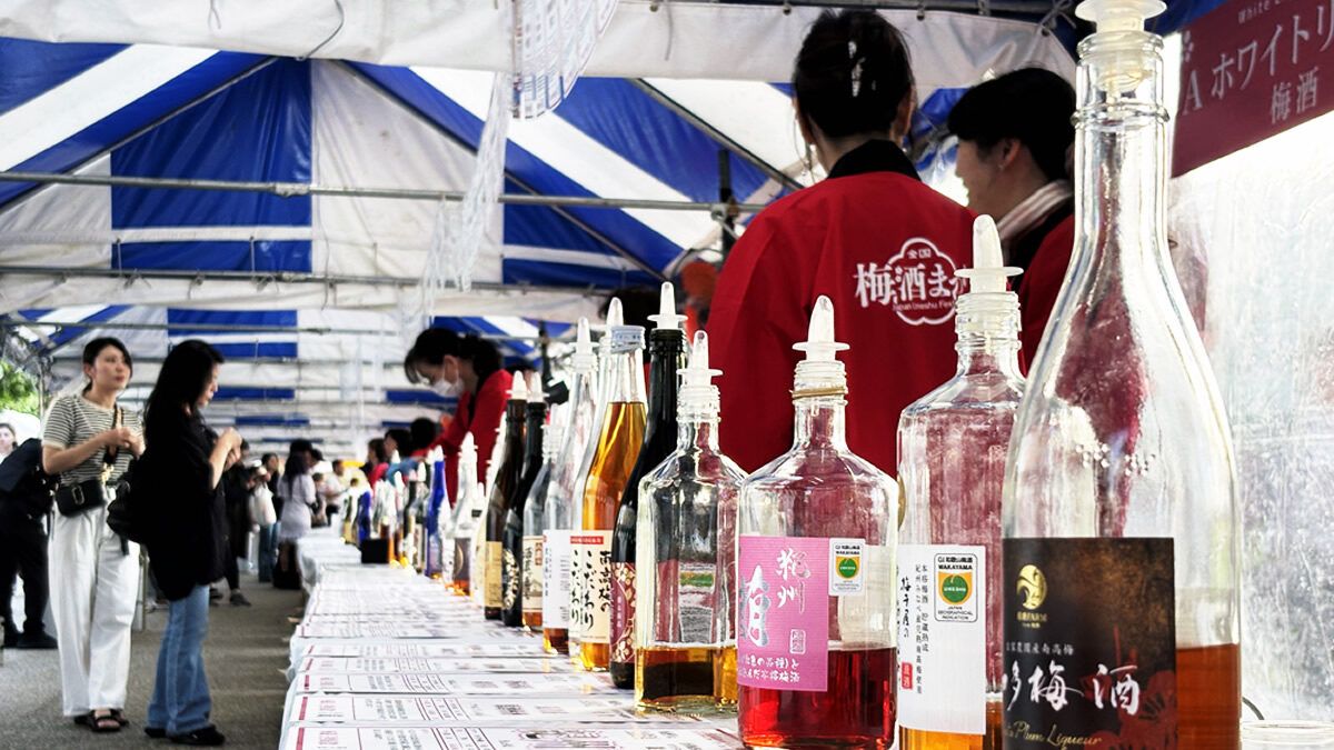 event_checker's tweet photo. 全国の梅酒を飲み比べ！

「全国梅酒まつり in 船橋」開催✨ 

120種類以上の梅酒が大集合
飲み比べはもちろん、梅酒ビールや梅酒スイーツ
希少な「獺祭梅酒」も登場します

📅 9/22(火祝)・23(水祝)・26(土)・27(日)
📍 千葉・船橋競馬場

→ https://t.co/P5snWjPyV2 https://t.co/SzzZTYy71p