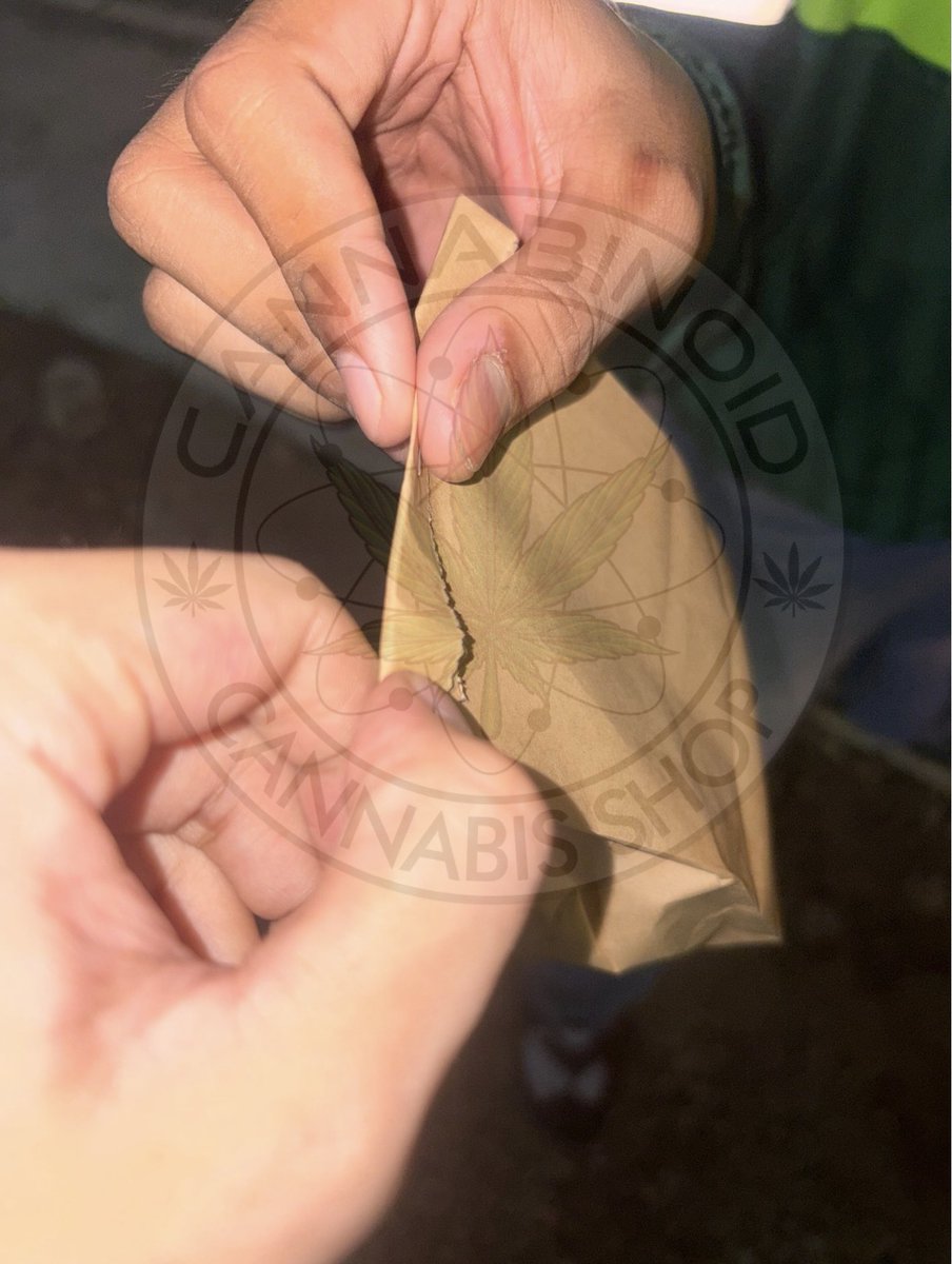 Cannabinoidhyp's tweet photo. 🚨ทักไลน์เก่าไม่ตอบ=ไลน์เก่าบินน้า 

✅สแกนQRแอดไลน์ใหม่ได้เลย
หรือ
👉https://t.co/jehpLUttwP

🔥เครดิตแน่นๆส่งทุกวัน 

#กัญชาเชียงใหม่ #กัญชาสันทราย #กัญชาแม่โจ้ #กัญชาแม่ริม #แม่โจ้ #เชียงใหม่ #รับงานเชียงใหม่ #กัญชาสันผีเสื้อ #weedchiangmai #กัญชาสันติธรรม #กัญชาเจ็ดยอด https://t.co/lOR3aKE2M4