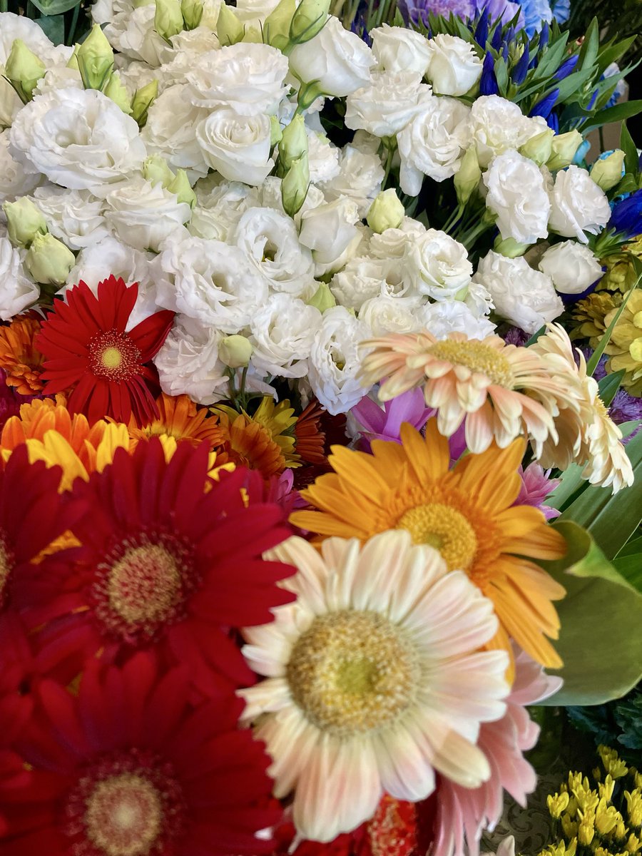 FlowerS48901380's tweet photo. お天気が急に変わるのでお気をつけてくださいね☔️
店内には夏らしいイエロー、涼しげなブルーのお花など見ているだけでも元気をもらえるお花が揃っています💐お盆用のご自宅用束やお墓用束も取り揃えております。当店は8月20日〜8月23日まで夏季休暇になります🏖️8月24日は13時からの営業になります🌼 https://t.co/s5aCgt6VYg