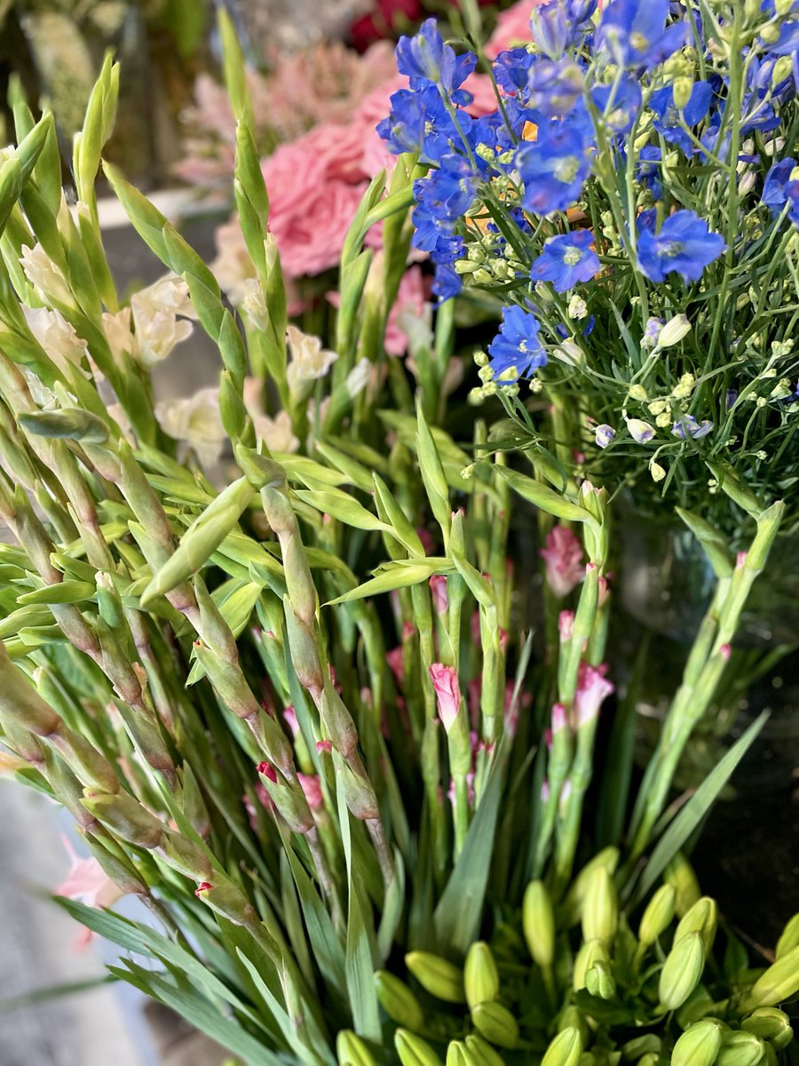 FlowerS48901380's tweet photo. お天気が急に変わるのでお気をつけてくださいね☔️
店内には夏らしいイエロー、涼しげなブルーのお花など見ているだけでも元気をもらえるお花が揃っています💐お盆用のご自宅用束やお墓用束も取り揃えております。当店は8月20日〜8月23日まで夏季休暇になります🏖️8月24日は13時からの営業になります🌼 https://t.co/s5aCgt6VYg