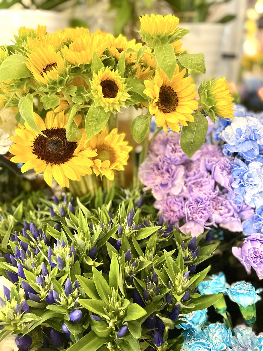 FlowerS48901380's tweet photo. お天気が急に変わるのでお気をつけてくださいね☔️
店内には夏らしいイエロー、涼しげなブルーのお花など見ているだけでも元気をもらえるお花が揃っています💐お盆用のご自宅用束やお墓用束も取り揃えております。当店は8月20日〜8月23日まで夏季休暇になります🏖️8月24日は13時からの営業になります🌼 https://t.co/s5aCgt6VYg