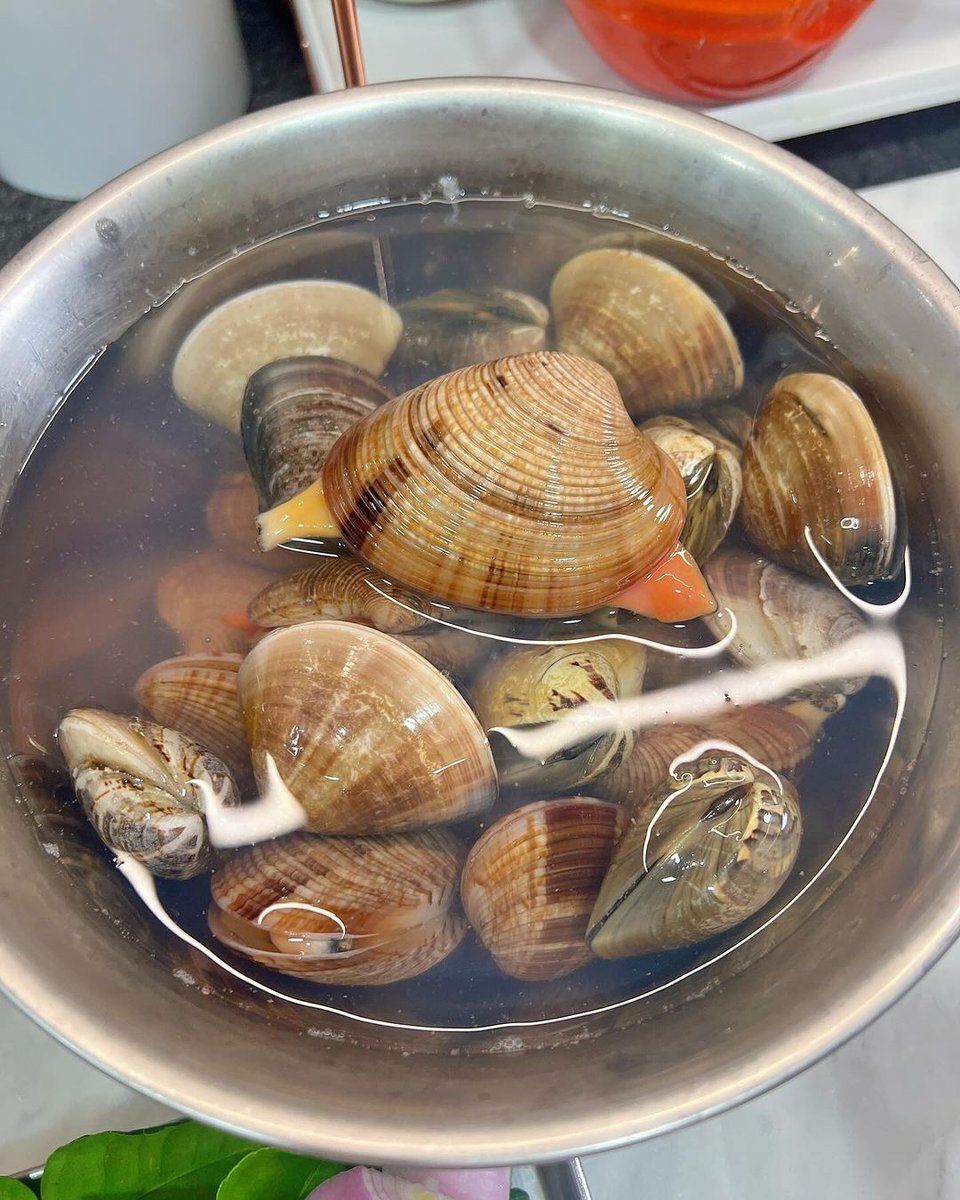 RealReelbasebal's tweet photo. Craving warm, aromatic tom kha gai tonight This Thai coconut chicken soup is loaded with lemongrass, galangal and chili perfection—pure comfort in a bowl! https://t.co/NTuMRIXced
