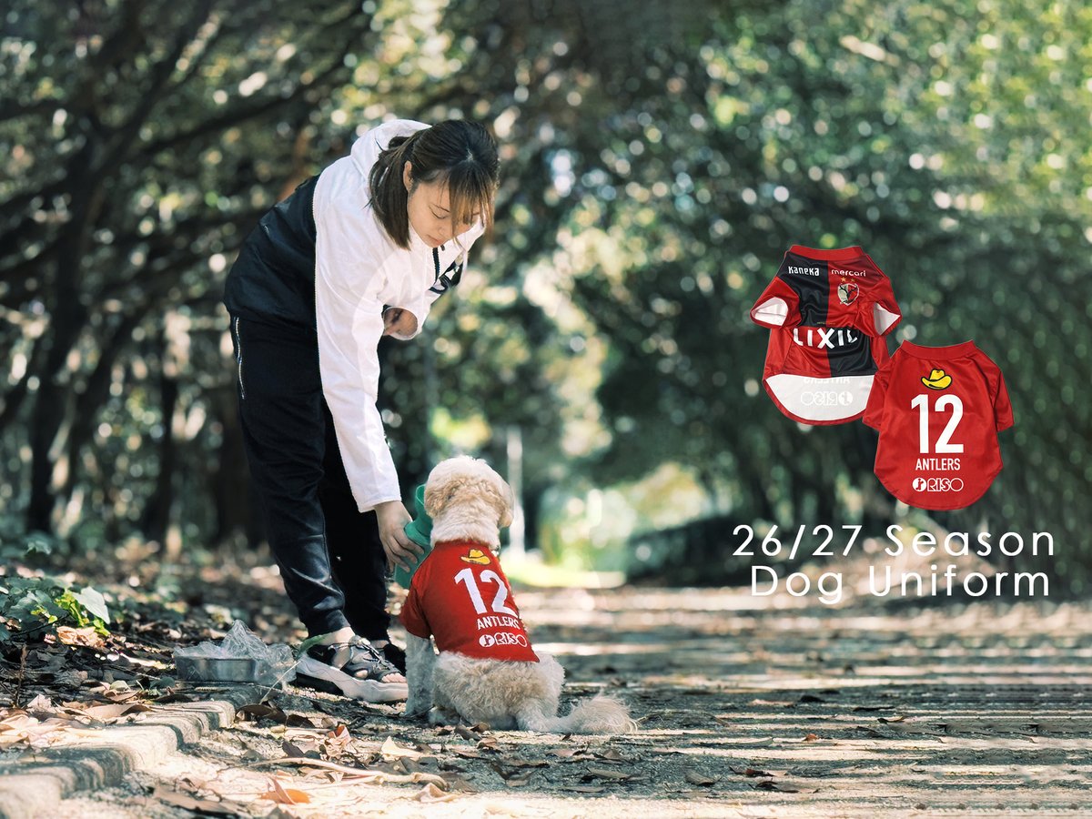 atlrs_official's tweet photo. ╭━━━━━━━━━━━╮
   🛍️ グッズ情報 🛍️
╰━━ｖ━━━━━━━━╯

⏰4日間限定⏰

2026/27シーズンデザインの小型犬種用のドッグユニフォームが登場です 🐶 🐾

前年のＪ１リーグ優勝クラブだけに許されるゴールドのJリーグワッペンもはいっています 🏆 ✨

所属全選手＋12番よりお好きな番号をお選びください 🔴 🦌

愛するバディと一緒に、アントラーズを熱く応援しましょう 🐶💪

🔽ご購入はオンラインストアで🛒
🔗https://t.co/sp5KnKQswg

＃鹿島アントラーズ #antlers
