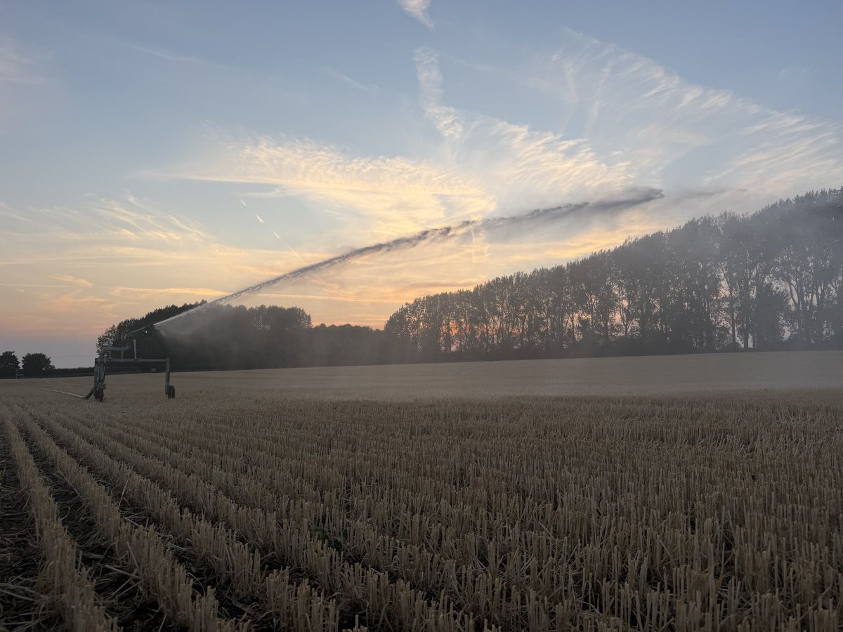 No1FarmerJake's tweet photo. Needs must 💧trying to get the covercrop trial established for our @DefraGovUK #ADOPT funded research with @UniRdg_SAPD @alicemauchline @LEAF_Farming 🍀 https://t.co/Vby7tNiyRi