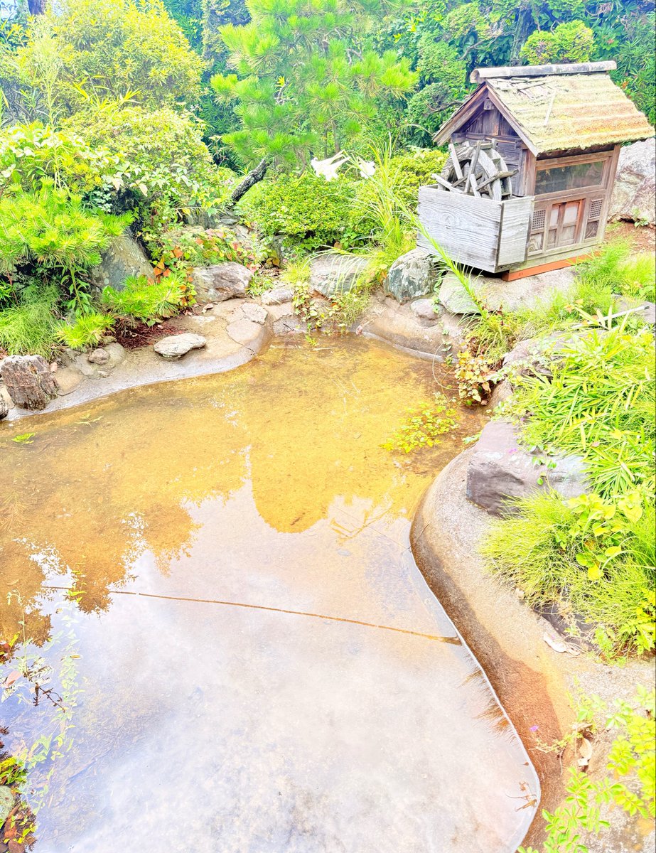 belleReikaa's tweet photo. 庭の窪みに雨が溜まり…
池になり、風流がある🐟
　
#千葉豪雨 https://t.co/TVFyQBBPmz