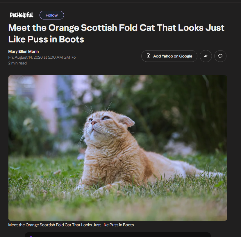000xy_0's tweet photo. NEW MEME CAT IS BLOWING UP ON TIKTOK

This cat "Albert" is going mega viral on TikTok, and is literally becoming a MEME atp. Everyone is comparing her to "Garflied" and "Puss in Boots".

He has 4M views in just a day and news articles coming out for him. The comments are filled with MEMES and STICKERS.

TikTok:
https://t.co/w4sJOYGRTw

Article:
https://t.co/yUvOCs0tk1
