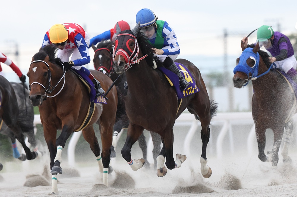 kasamatsukeiba's tweet photo. 8/16(日)のＪＲＡ #中京競馬 第7競走(15時35分発走予定)『#中京記念(GⅢ)』に、#渡邊竜也 騎手が ケイズレーヴ号に騎乗します🏇
オグリキャップ記念を制覇したコンビが、前走の小倉記念(ＧⅢ)に続くＪＲＡ挑戦です‼️
また、渡邊騎手は当日計6鞍に騎乗です⭐
ご声援よろしくお願いします✊
#笠松競馬 https://t.co/7mSf5e1lHt