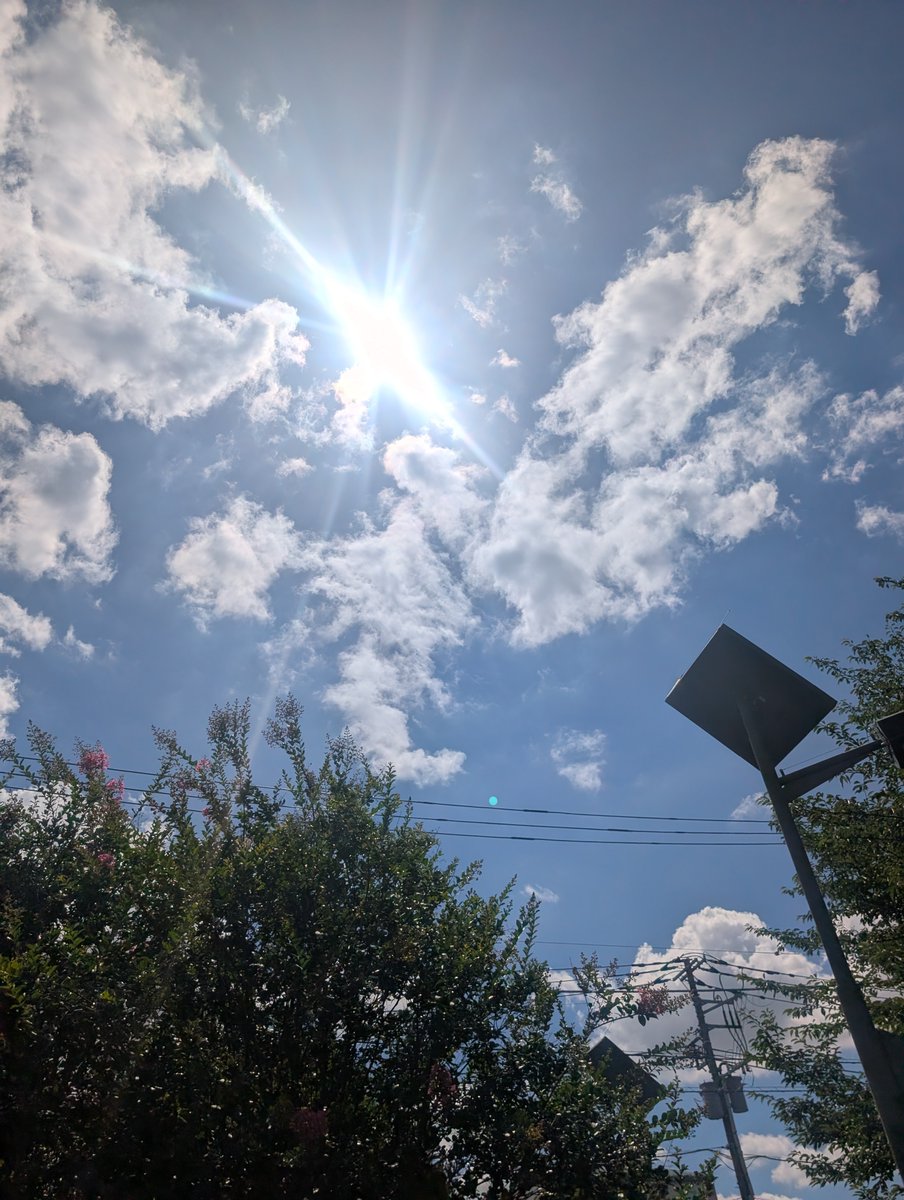 MarsKamata's tweet photo. 本日のMars.Kamataは、
なんとなく16:30にオープンしまーす！ https://t.co/G1eEhLk1LR