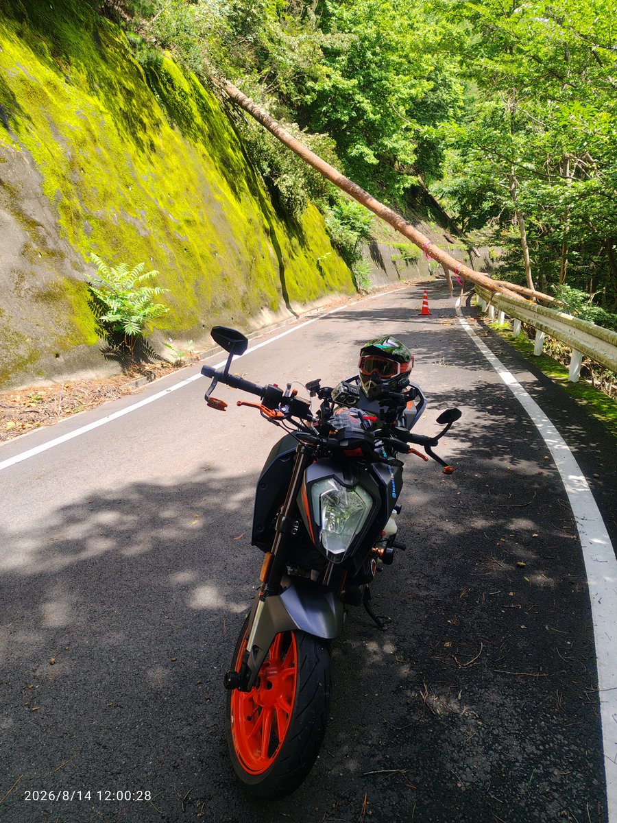 TEAMtoumou's tweet photo. 晴れ間を狙って適当に走ってたら
、林道小平塩沢線のダートに入っちゃって６〜7㌔の半分くらい押した😭😱😂

#250duke #バイク https://t.co/phYglG7fON