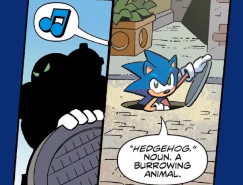 ChocoExplsn's tweet photo. It’s so cool whenever they let Sonic do actual hedgehog stuff https://t.co/ft01fa6FEF