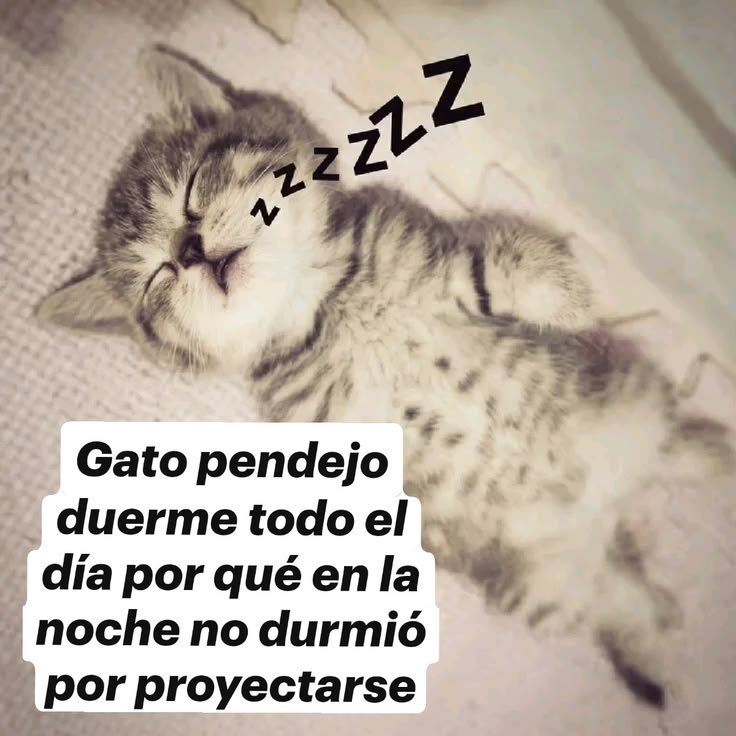strbzyx's tweet photo. gn losamo https://t.co/1RN9kVa8fv