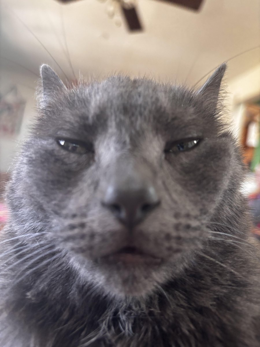 kakorrhaa's tweet photo. DAY SEVENTEEN OF SICKLY ASKING BIBINOS TO PLAY OVERWAtch WITH MEEEEEEE
@bbnomula @bbnogames #pleaseplayoverwatchwithmemrnomoney #owtwt #pls https://t.co/7GYmWw5W6K