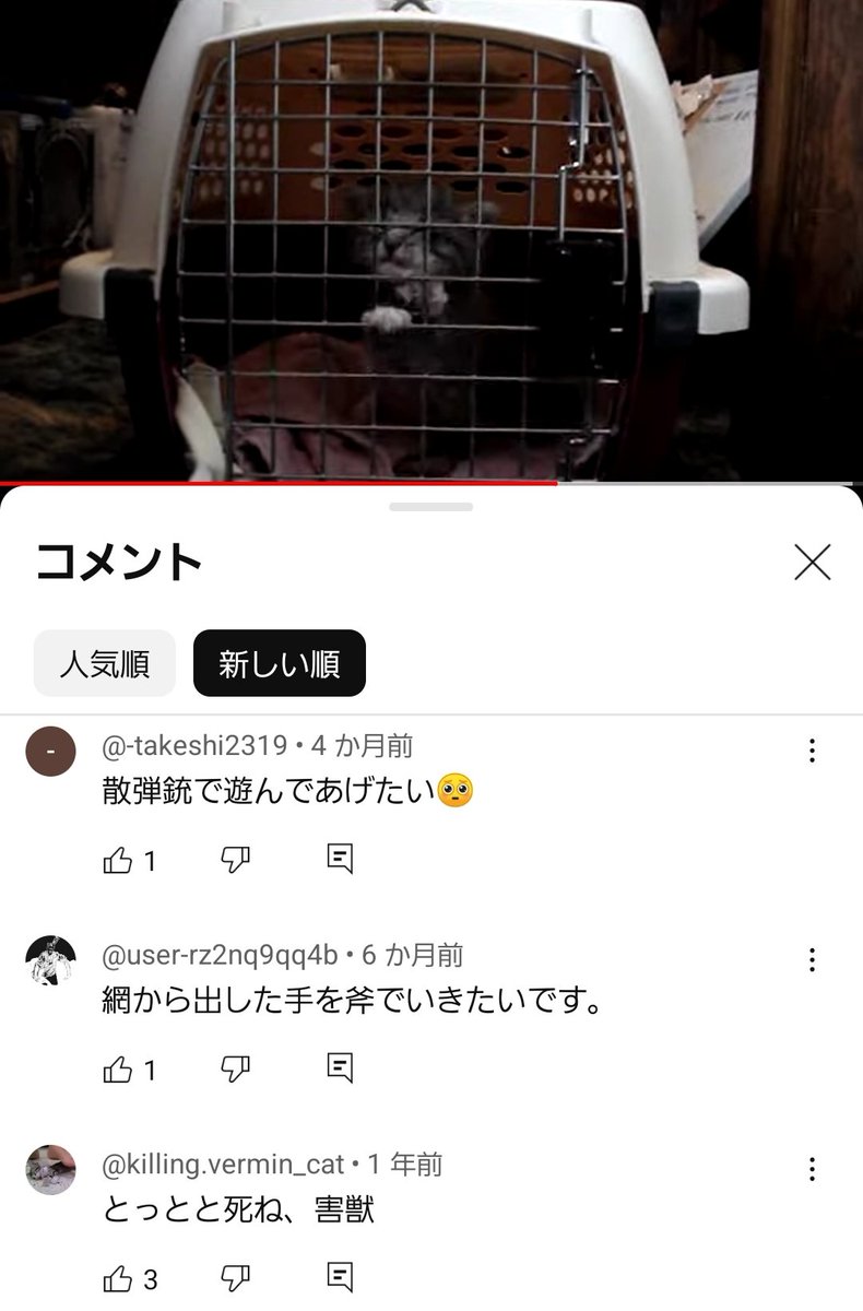 Sungeesaraun's tweet photo. @wowkitsunezaru_ FF外からすみません。
その室内飼育をしてる猫さえ殺したがってるのがいるのを結構見ました。
正直猫問題が拗れやすい原因は愛誤だけでなくこういう輩がいるのも大きな問題部分だと思うんですよ。
これらは全部室内飼育の猫動画についたコメントです。 https://t.co/L3noqCyp0Z