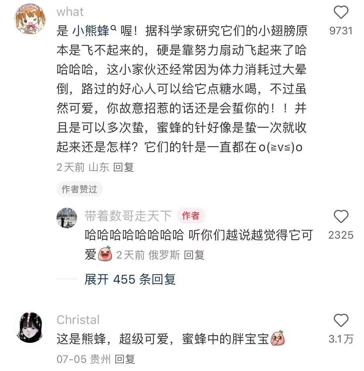 Poca2381's tweet photo. 🐝)这种德国小蜜蜂被引进经常在果园工作，力气特别大，比一般的小蜜蜂传粉效率高 https://t.co/aTpCAOSE5z