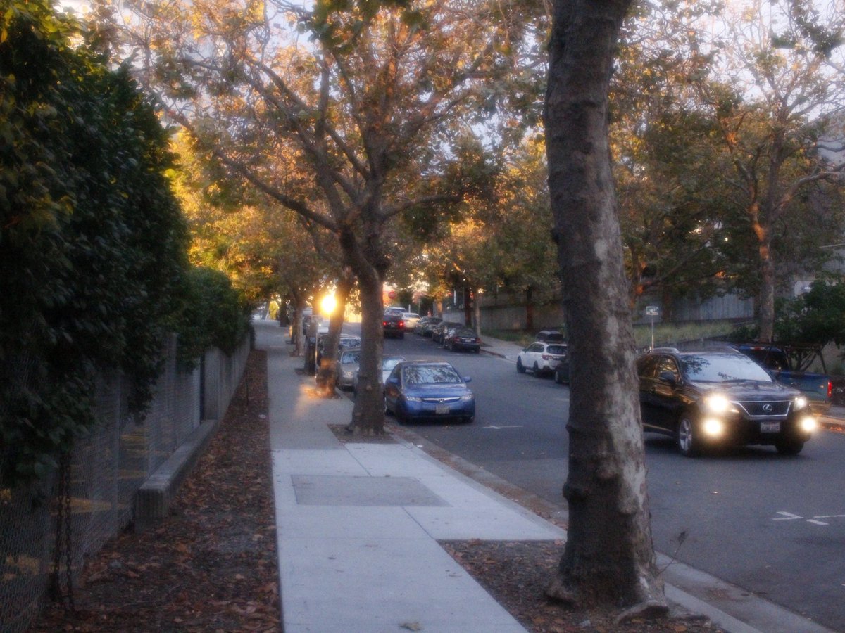 holdingawish's tweet photo. my walk to the store earlier for gummy worms https://t.co/Z47VJYQhw6