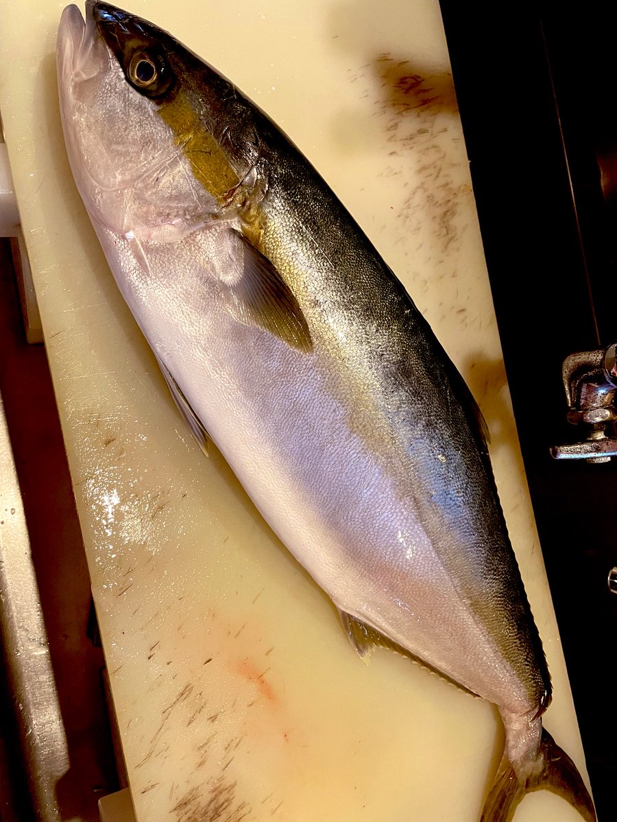 Tono_kitchen's tweet photo. こんばんは
お魚メニューのご案内です。
あわび、北海だこ、かんぱちと、サーモンもあります。
お刺身でどうぞ✨ https://t.co/YymnZUrVZV
