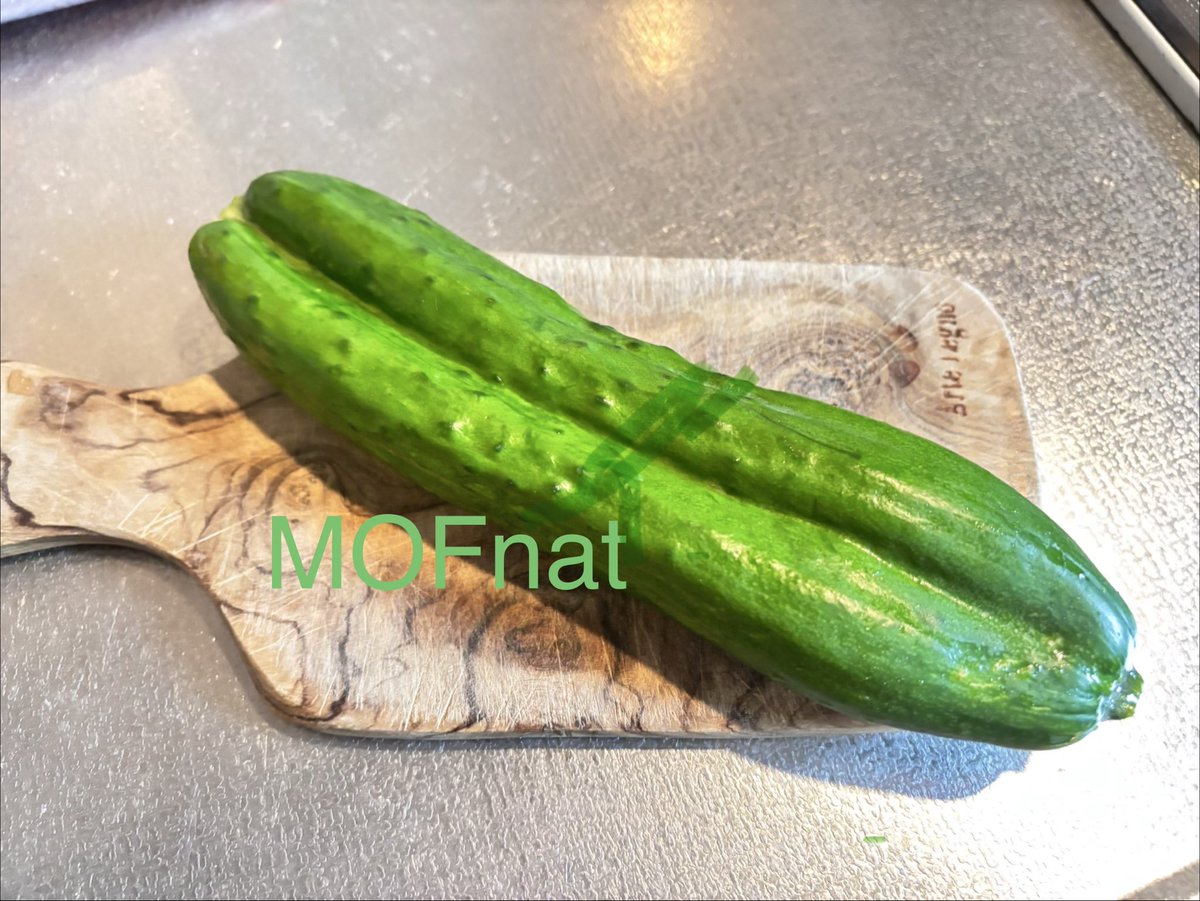 MOFnat's tweet photo. おや？二馬力？
ニキュウリ🥒リキ？ https://t.co/A8aGBlRALb