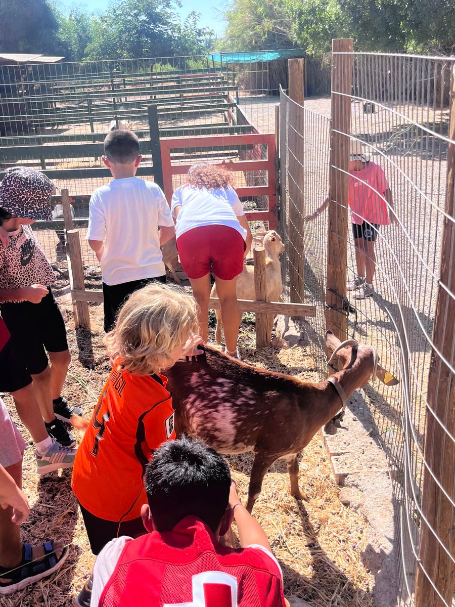 CREMalaga's tweet photo. Los niños y niñas de la Escuela de Verano de Cruz Roja Fuengirola disfrutaron de una divertida excursión al Aula de Naturaleza Josefa Mancebo. Allí pudieron conocer de cerca a diferentes animales y descubrir un poquito más sobre ellos 🐷🐮🐴🐔 https://t.co/IrTiZ2OXHH