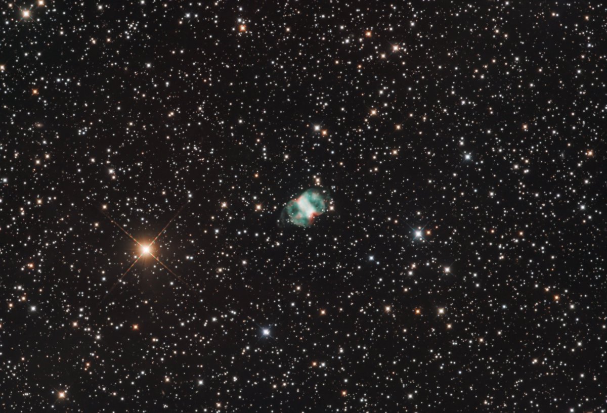 INDY_Telescope's tweet photo. 2026/8/10 三重県大紀町で撮影📸
IC1396
はくちょう座　サドル周辺
NGC7380
M76 小亜鈴状星雲
ステライメージ10でコンポジット、PixInsightで画像処理。NXT,BXT使用。

FL55SS+ASI2600MCPro レデューサー使用。
R200SS+ASI294MCPro エクステンダーPH使用。 https://t.co/09QB9wJGDg
