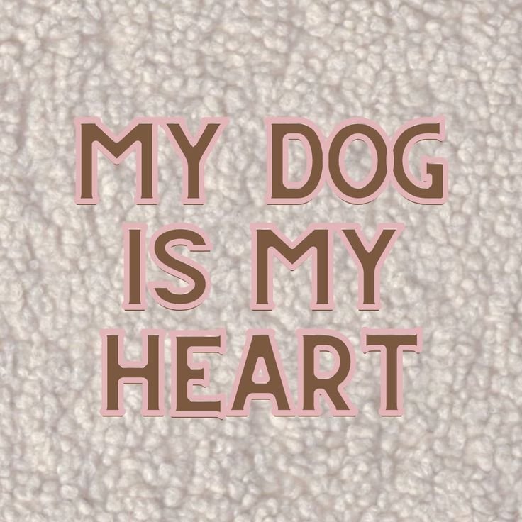 Sabrinahound12's tweet photo. Proud dog lady 🐕❤️ https://t.co/yGQeesMi3T