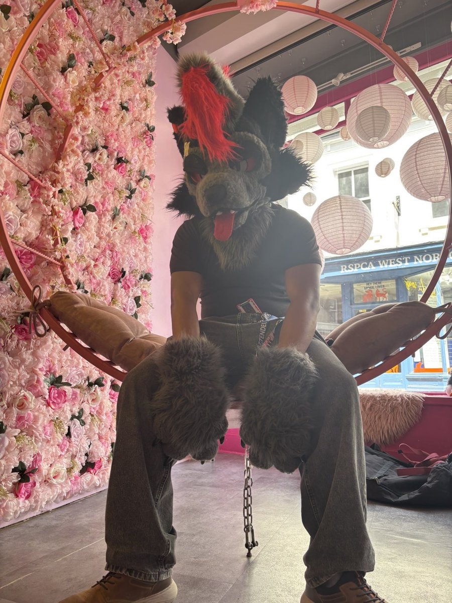 kurohellhound's tweet photo. Happy Wolf Day https://t.co/DqApJ82WEp
