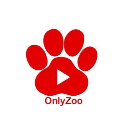 SabrinaHounk's tweet photo. Feast your eyes and your curiosity ++
Tap below and explore my exclusive k9 content
Come experience more amazing fun and don't miss out!
Subscribe❤️👇
https://t.co/5ZewJNIUkO https://t.co/wHYtFAfKwF