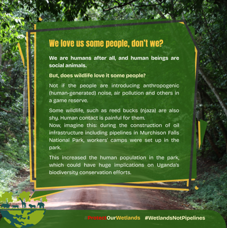 AfiegoUg's tweet photo. 🏚️A workers’ camp was set up in the area of influence of a Ramsar wetland in Murchison Falls National Park during development of the Victoria Nile oil Pipeline Crossing.
😲This has huge implications for biodiversity conservation: https://t.co/vPUUI0S2nR https://t.co/YJpryoh246