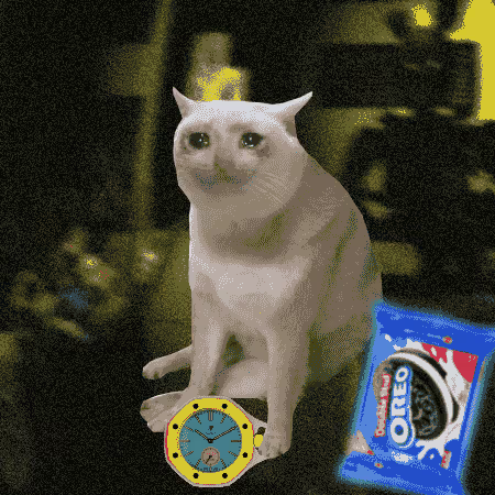 Cashcatstr's tweet photo. New member added to the vault.

Cash Cat #8691. Acquired at 0.165, listed at 0.198. 

Gmeow. https://t.co/HrYr6NEcGY