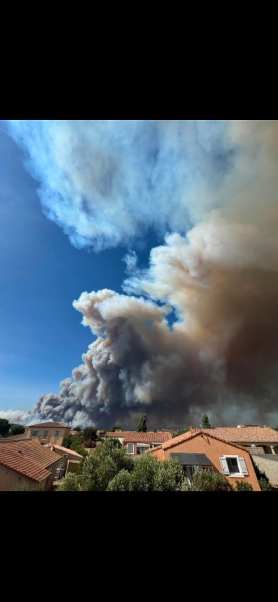 Signalert's tweet photo. Ou que vous soyez en #Europe partagez en temps réel la vos vues D’#incendiesdeforêt par une alerte sur l’app @Signalert et consulter la carte des feux feux actifs et récents. https://t.co/tIkt4PfSQk