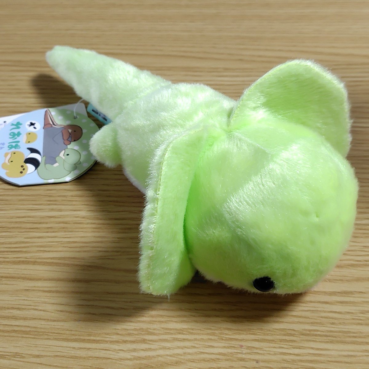 Coccoon_O's tweet photo. 今日は「オー　れおぱさん」のエリマキトカゲの「おはなちゃん」もGETしてきました😆💚

黄緑色だから目がいって…よく見たら口角が上がっていたので一目惚れ😍

「俺の本体さんを思わせたんだってー💚　よろしくねーっ😆💚」

この子、花よりも虫のほうが好きなのにおはなちゃんなんですって…😁 https://t.co/t6goQS0nzC