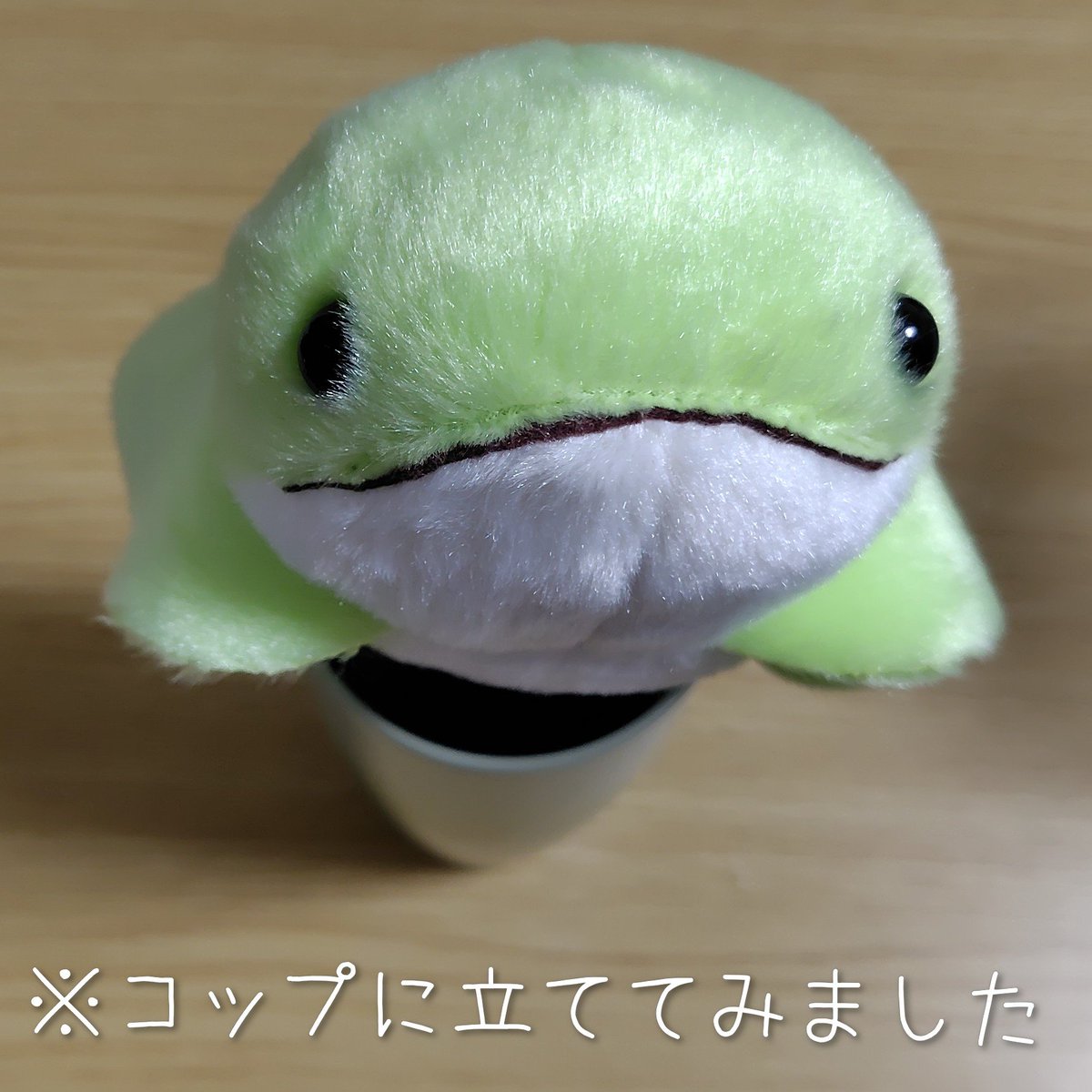 Coccoon_O's tweet photo. 今日は「オー　れおぱさん」のエリマキトカゲの「おはなちゃん」もGETしてきました😆💚

黄緑色だから目がいって…よく見たら口角が上がっていたので一目惚れ😍

「俺の本体さんを思わせたんだってー💚　よろしくねーっ😆💚」

この子、花よりも虫のほうが好きなのにおはなちゃんなんですって…😁 https://t.co/t6goQS0nzC