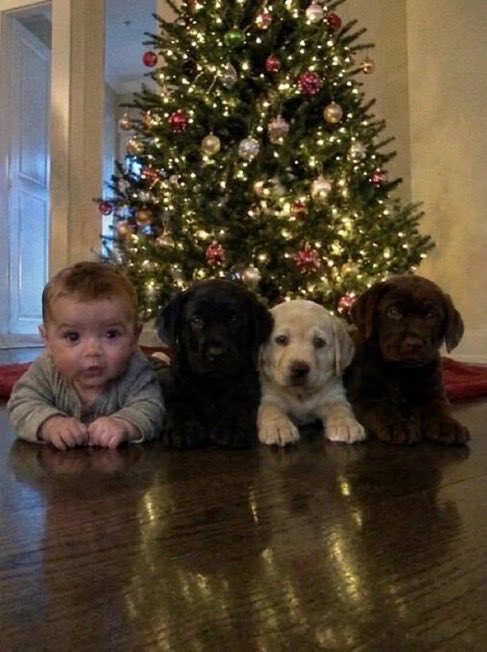 porqueTTarg's tweet photo. "Mejores amigos"

Por este chico que mostró cómo fue creciendo acompañado por sus tres perritos. https://t.co/trK7PSPijG