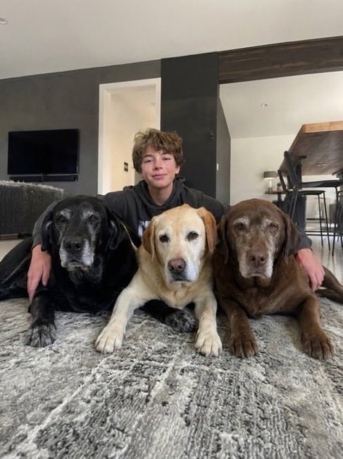 porqueTTarg's tweet photo. "Mejores amigos"

Por este chico que mostró cómo fue creciendo acompañado por sus tres perritos. https://t.co/trK7PSPijG