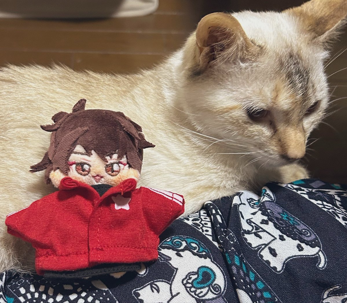 Yoa905's tweet photo. 2日で作りました笑
雑すぎる笑
今度は大きい子作るかな😆 https://t.co/74qGEbY4j6