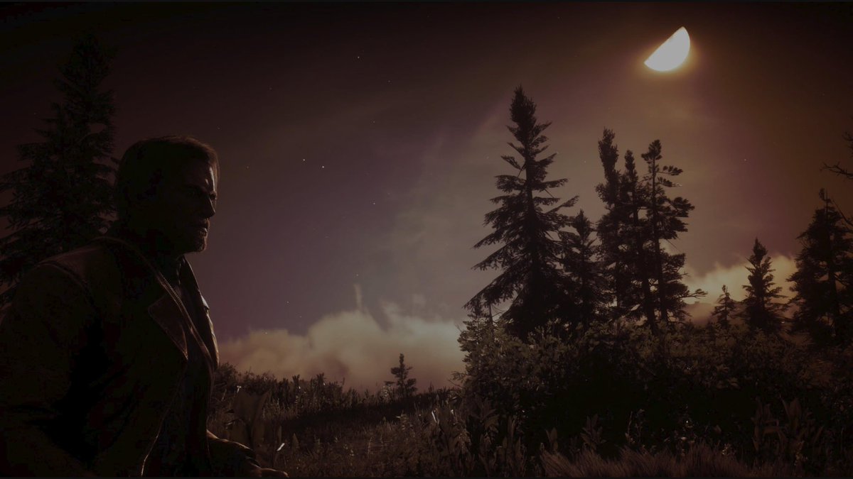 zius4ruedas's tweet photo. What a night Arthur.

#RedDeadRedemtion2 #PhotoMode #virtualphotography https://t.co/VOu6Yz7UKq
