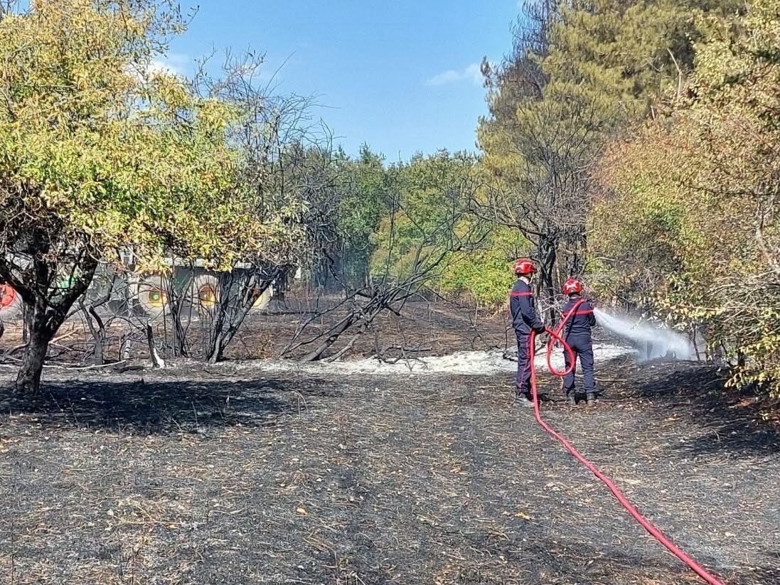 Image de Préfet des Pays de la Loire et de Loire-Atlantique - #Incendie | Face aux incendies qui touchent actuellement le département, le préfet rappelle que les 